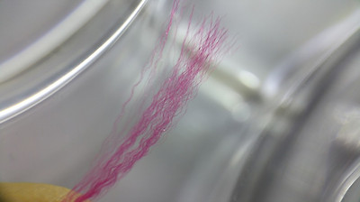 resize500kb_20150820_132251