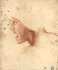 Head of a Warrior ('The Red Head')1504-05Red chalk on brownish paper, 226 x 186 mmSz&eacute;pm&eacute;v&eacute;szeti M&eacute;zeum, Budapest
