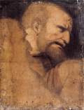Head of St Peter-Pencil, black chalk, paste, and watercolour, 562 x 435 mmMus&eacute;es de Strasbourg, Strasbourg