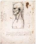Male head in profile with proportionsc. 1490Pen and ink on paper, 280 x 222 mmGallerie dell'Accademia, Venice