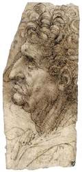 Head of a Man Facing to the Left1490-94Pen and brown ink over charcoal, 120 x 50 mmMetropolitan Museum of Art, New York