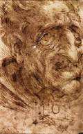 Head of an Old Man1487-90Pen and light brown ink, watercolour on pal walnut paper, 112 x 75 mmGallerie dell'Accademia, Venice