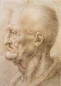 Profile of an old man-Pen and ink on paperGalleria degli Uffizi, Florence