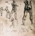 Figure studiesc. 1505DrawingBiblioteca Reale, Turin