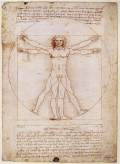 Vitruvian Man1492Pen, ink, watercolour and metalpoint on paper, 343 x 245 mmGallerie dell'Accademia, Venice