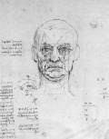 Study on the proportions of head and eyes-Pen and ink, 197 x 160 mmBiblioteca Reale, Turin