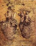 Heart and its Blood Vessels-DrawingBiblioteca Ambrosiana, Milan