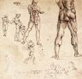 Anatomical studies1504-06Pen on red prepared paper, 253 x 197 mmBiblioteca Reale, Turin