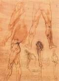 Studies of legs of man and the leg of a horse1506-07Pen, ink, red chalk on red prepared paper, 285 x 205 mmRoyal Library, Windsor