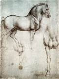 Study of horsesc. 1490Silverpoint on prepared paper, 250 x 187 mmRoyal Library, Windsor