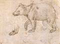 Studies of a Bear Walking1483-85Metalpoint on pink-light brown prepared paper, 103 x 134 mmMetropolitan Museum of Art, New York