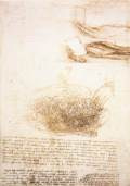 Studies of water1509-11Pen and ink on paper, 290 x 202 mmRoyal Library, Windsor