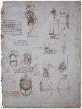 Studies of the Villa Melzi and anatomical study1513Pen and ink on paperRoyal Library, Windsor