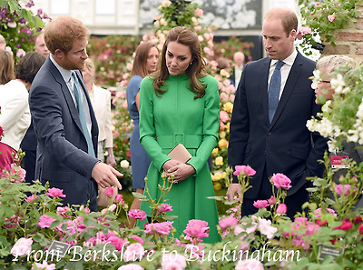 chelsea flower show william에 대한 이미지 검색결과