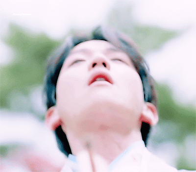 00ca3fcd70f226acdf20e01d190753e1.gif