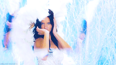 빅토리아 시크릿(15) | 인스티즈