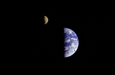 후손들중 절반.jpg