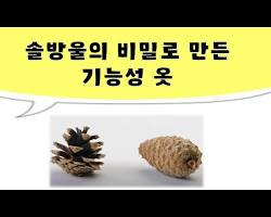 솔방울을 활용한 다양한 제품 