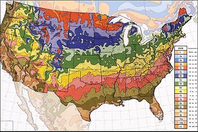 what to plant in January USDA hardiness zones map