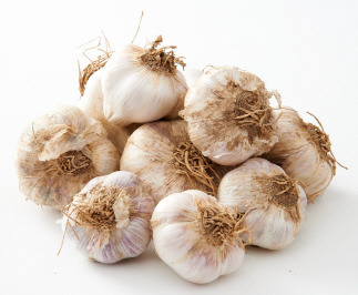 Image result for '코로나19' 예방에 좋은 생강!!