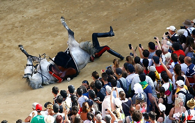 이탈리아 경찰관이 시에나에서 열리는 팔리오 경마대회에 앞서 말에서 떨어졌다.