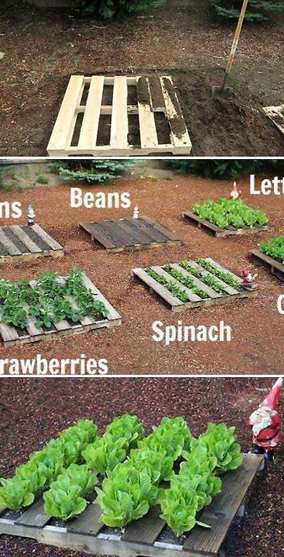 Having vegetable garden is no longer a laborious and expensive dream. With these vegetable garden design ideas, you can get fresh harvests wherever you live.