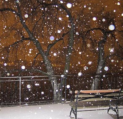 ê´€ë ¨ ì´ë¯¸ì§€