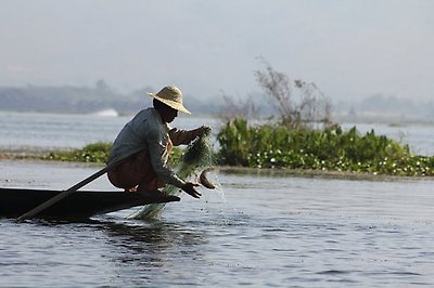 fishermanì ëí ì´ë¯¸ì§ ê²ìê²°ê³¼