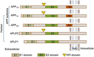 figure1