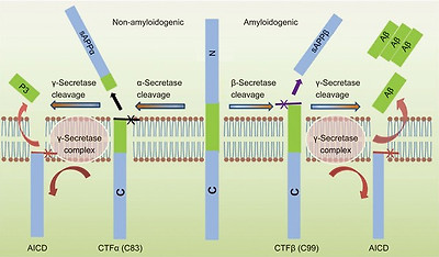figure2