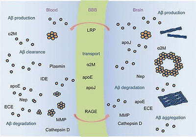figure5