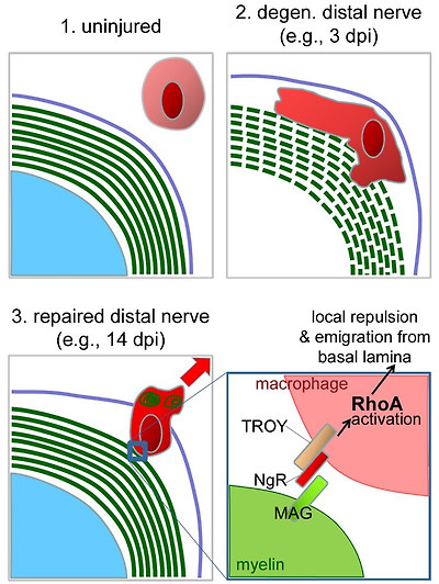 figure3