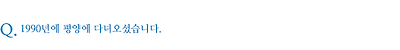 1990년에 평양에 다녀오셨습니다.