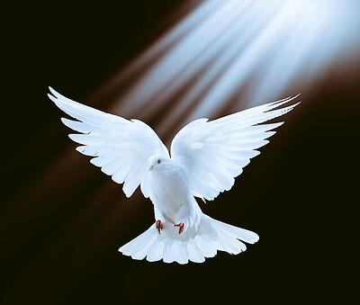 담아간 이미지 고유 주소