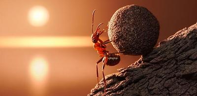 담아간 이미지 고유 주소