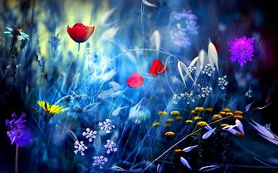 담아간 이미지 고유 주소