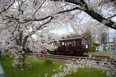 담아간 이미지 고유 주소