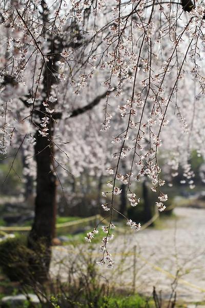 담아간 이미지 고유 주소