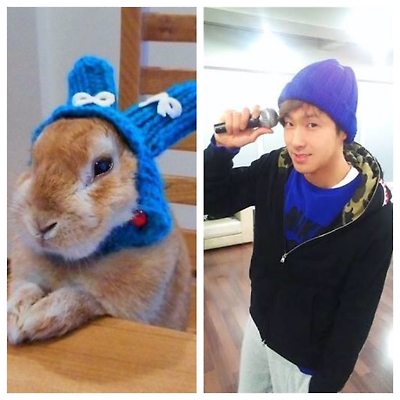 담아간 이미지 고유 주소