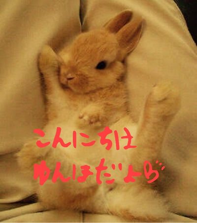 담아간 이미지 고유 주소