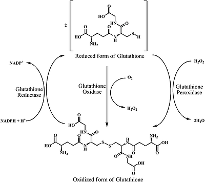 image file: c4ra13315c-s17.tif