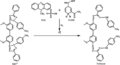 image file: c4ra13315c-s18.tif