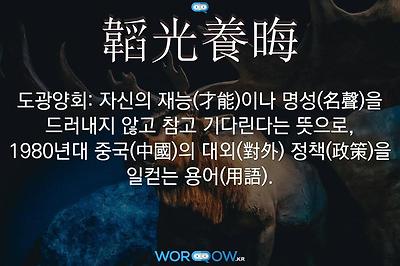 韜光養晦(도광양회)의 의미: 자신의 재능(才能)이나 명성(名聲)을 드러내지 않고 참고 기다린다는 뜻으로, 1980년대 중국(中國)의 대외(對外) 정책(政策)을 일컫는 용어(用語).