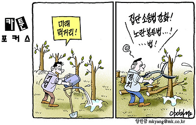 사진설명