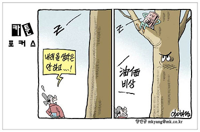 사진설명