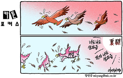 사진설명