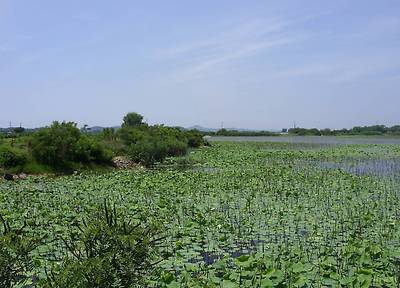 SDC13318.JPG