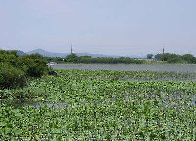SDC13322.JPG