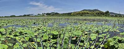 포인트1.jpg