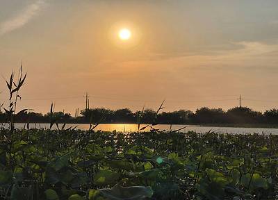 20260613_190434.jpg